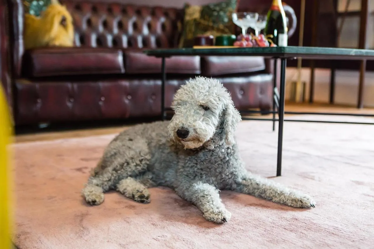 מלון דירות Skeldale House 'All Creatures Great & Small' By Luxury Travel Emporium- Luxury Apartments & Studios In Askrigg, Yorkshire Dales